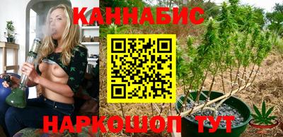прущие крисы Будённовск