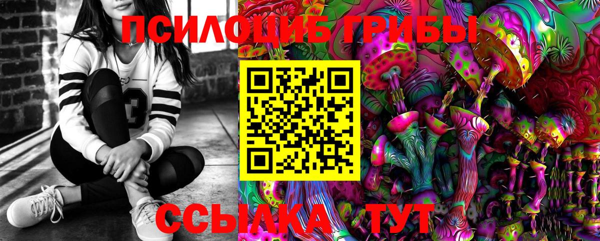 Галлюциногенные грибы прущие грибы Ростов Великий